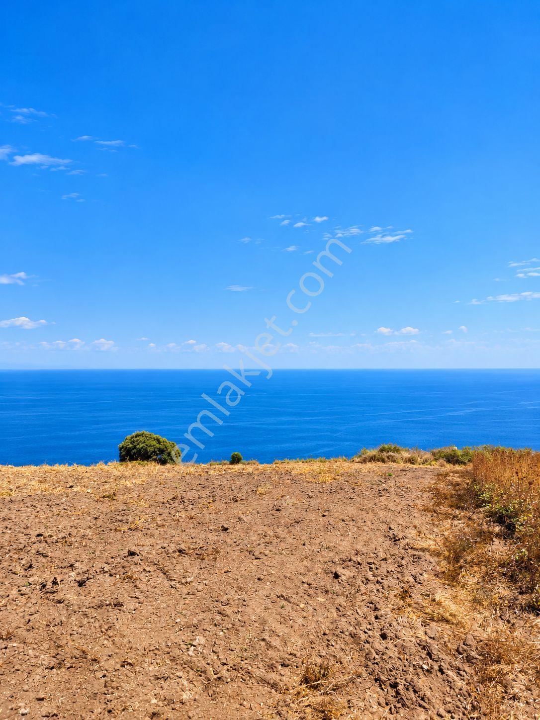 Mudanya Esence'de Eşkel Göktepe Meviiinde 307 M² Deniz-doğa Manzaralı Satılık Tarla-bahçe — fotoğraf 26