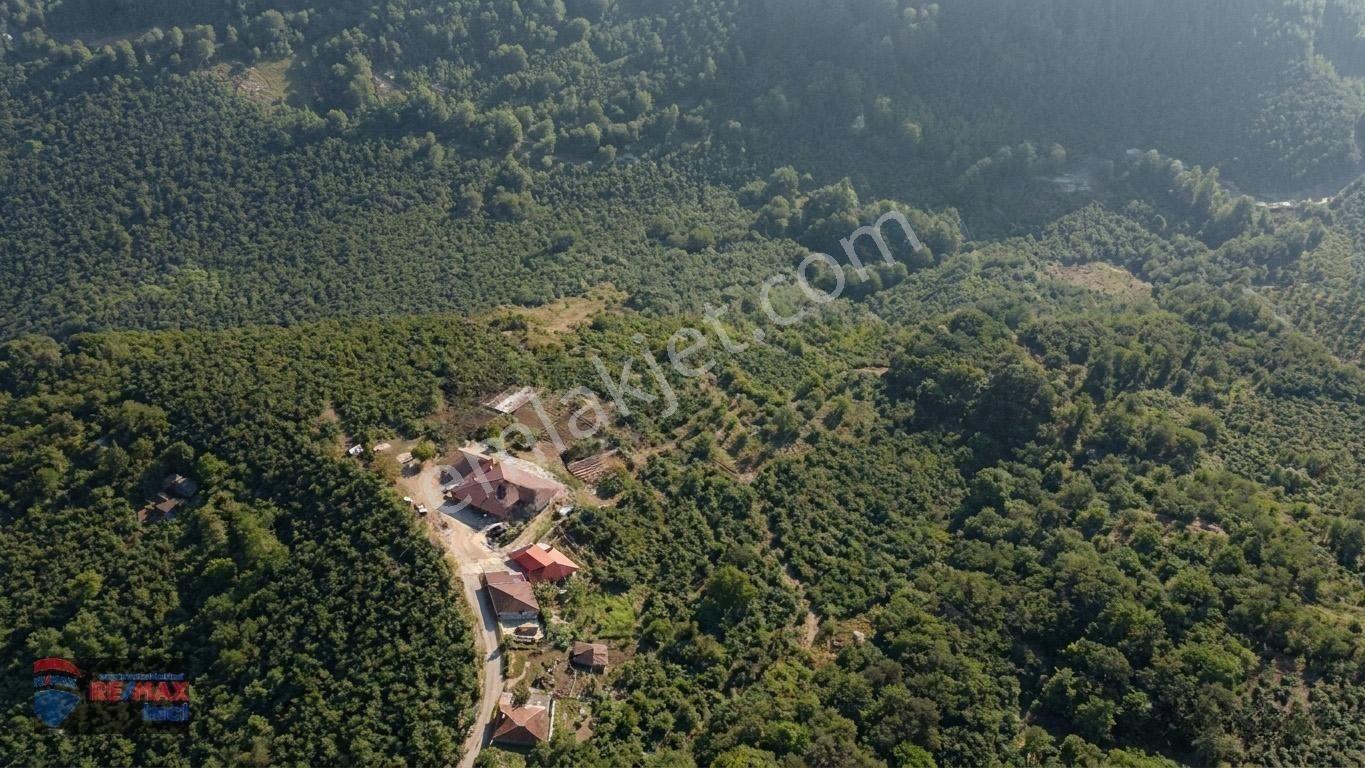 Re/max İnci'den Fatsa Tepecik’te Satılık Fındık Bahçesi — fotoğraf 7