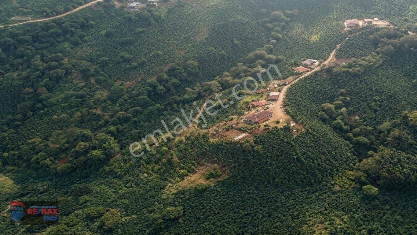 Re/max İnci'den Fatsa Tepecik’te Satılık Fındık Bahçesi — fotoğraf 20