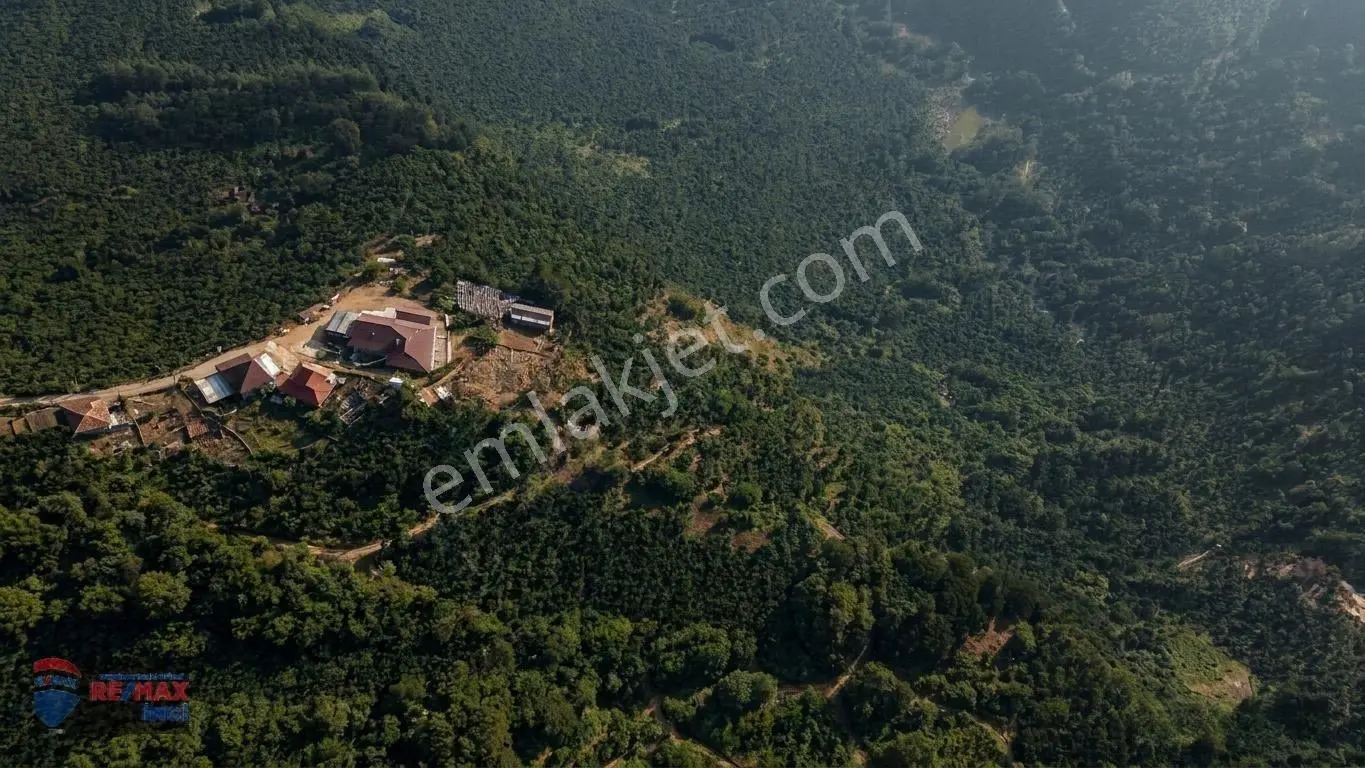 Re/max İnci'den Fatsa Tepecik’te Satılık Fındık Bahçesi — fotoğraf 22