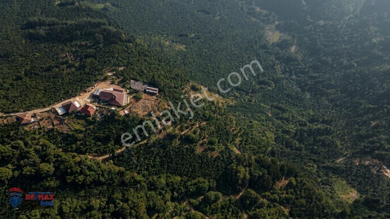 Re/max İnci'den Fatsa Tepecik’te Satılık Fındık Bahçesi — fotoğraf 30
