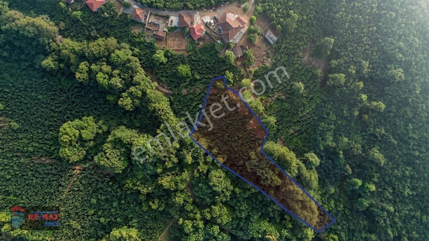 Re/max İnci'den Fatsa Tepecik’te Satılık Fındık Bahçesi — fotoğraf 33
