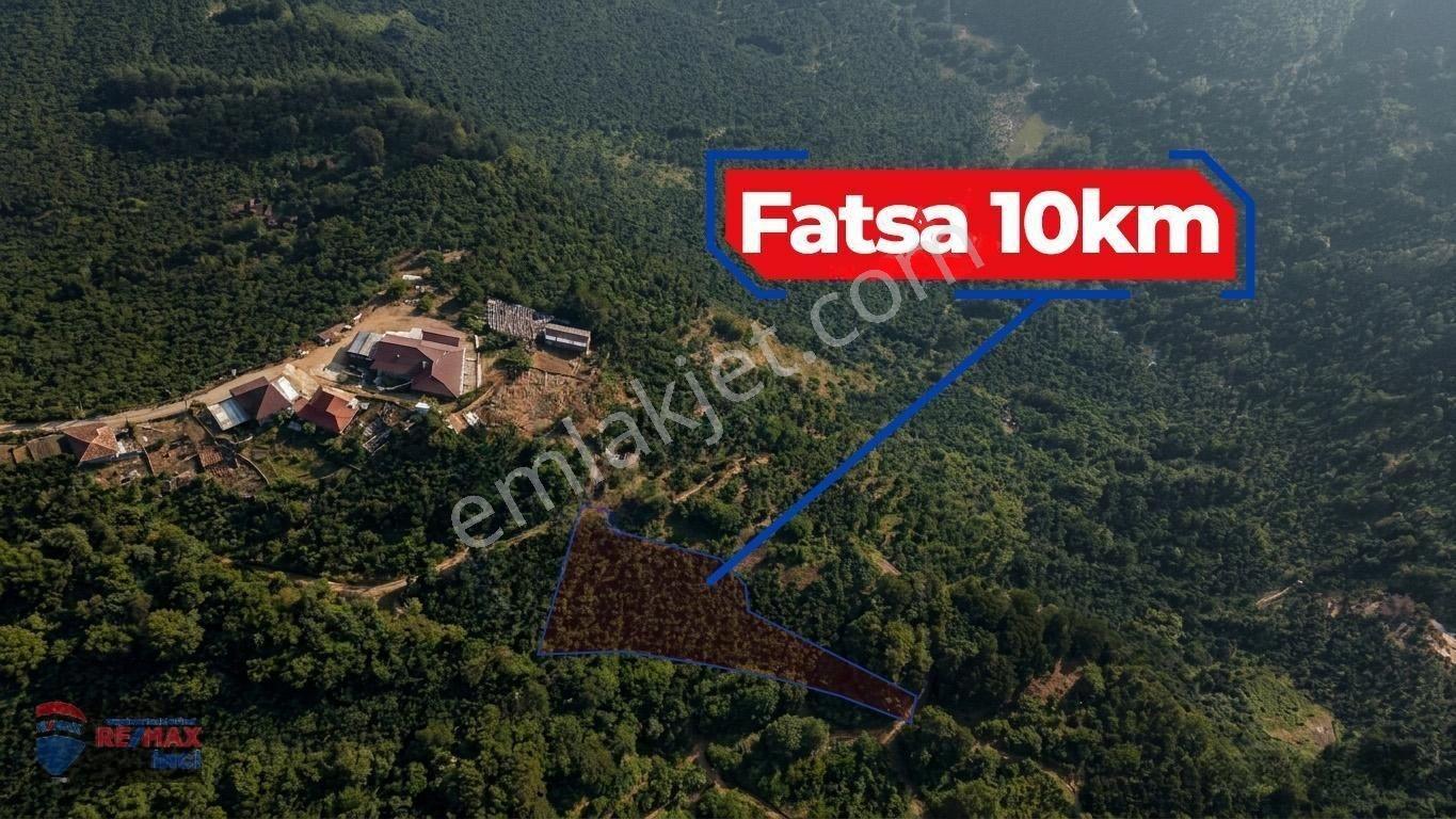 Re/max İnci'den Fatsa Tepecik’te Satılık Fındık Bahçesi — fotoğraf 35