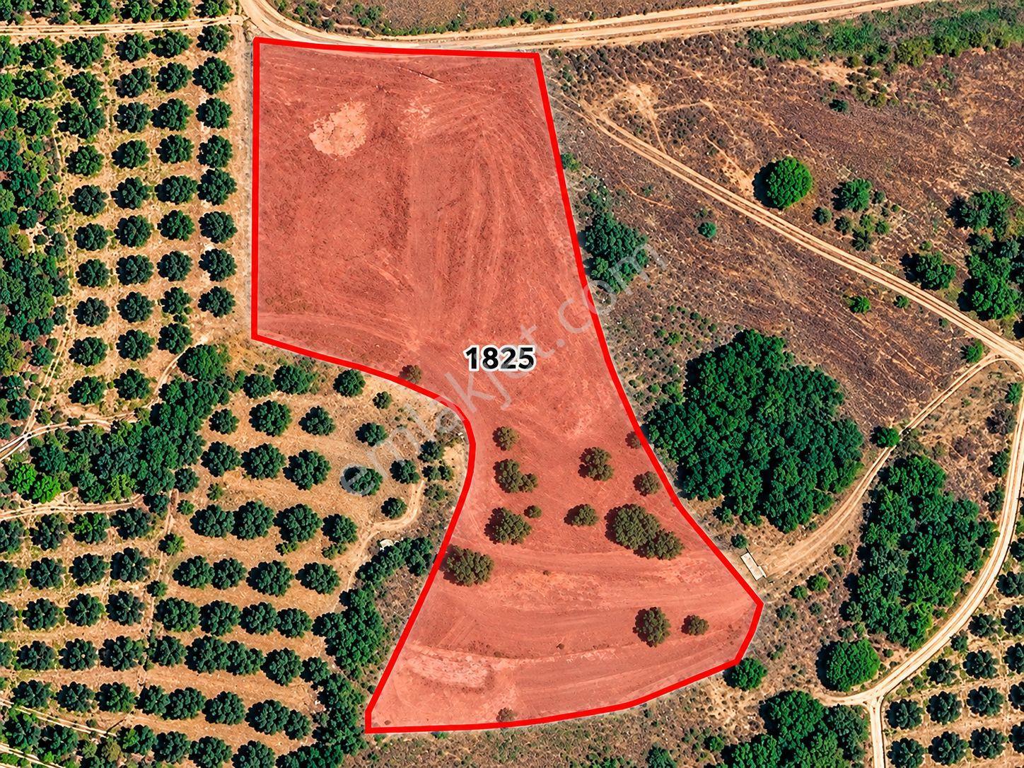 Mudanya Esence'de Eşkel Göktepe Meviiinde 354 M² Deniz-doğa Manzaralı Satılık Tarla-bahçe — fotoğraf 5