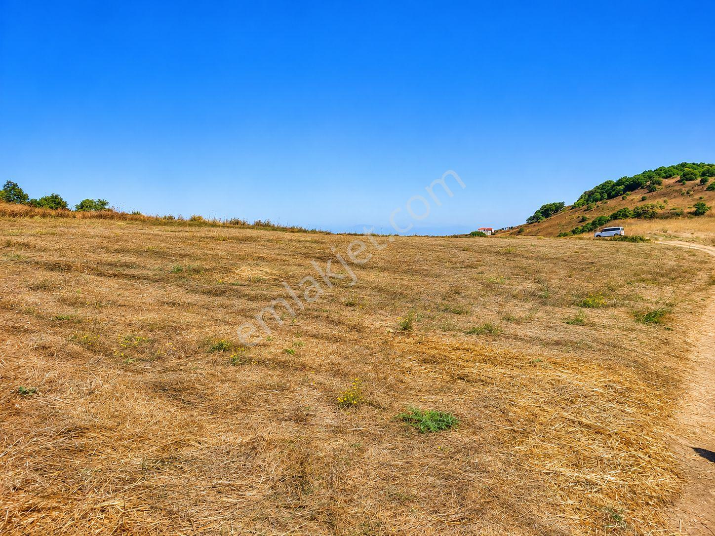 Mudanya Esence'de Eşkel Göktepe Meviiinde 354 M² Deniz-doğa Manzaralı Satılık Tarla-bahçe — fotoğraf 14