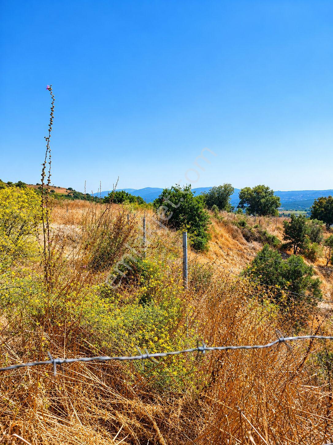 Mudanya Esence'de Eşkel Göktepe Meviiinde 354 M² Deniz-doğa Manzaralı Satılık Tarla-bahçe — fotoğraf 26
