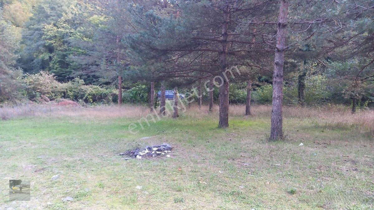 Dere Kenarı Bahçe Satılık... — fotoğraf 8