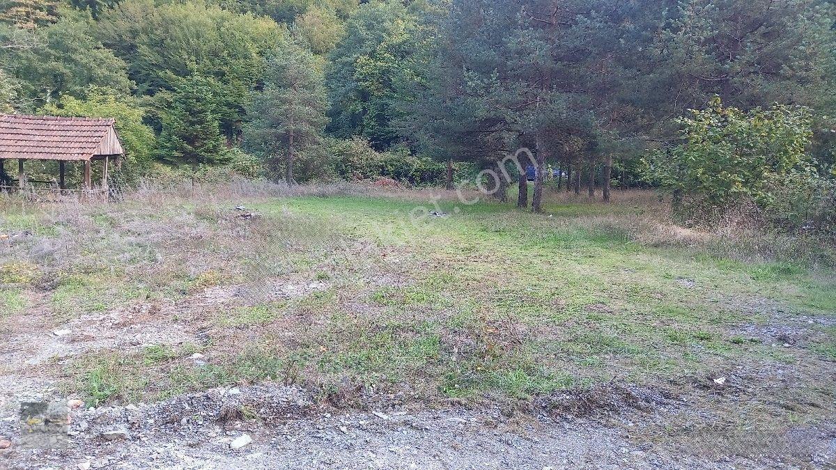 Dere Kenarı Bahçe Satılık... — fotoğraf 10