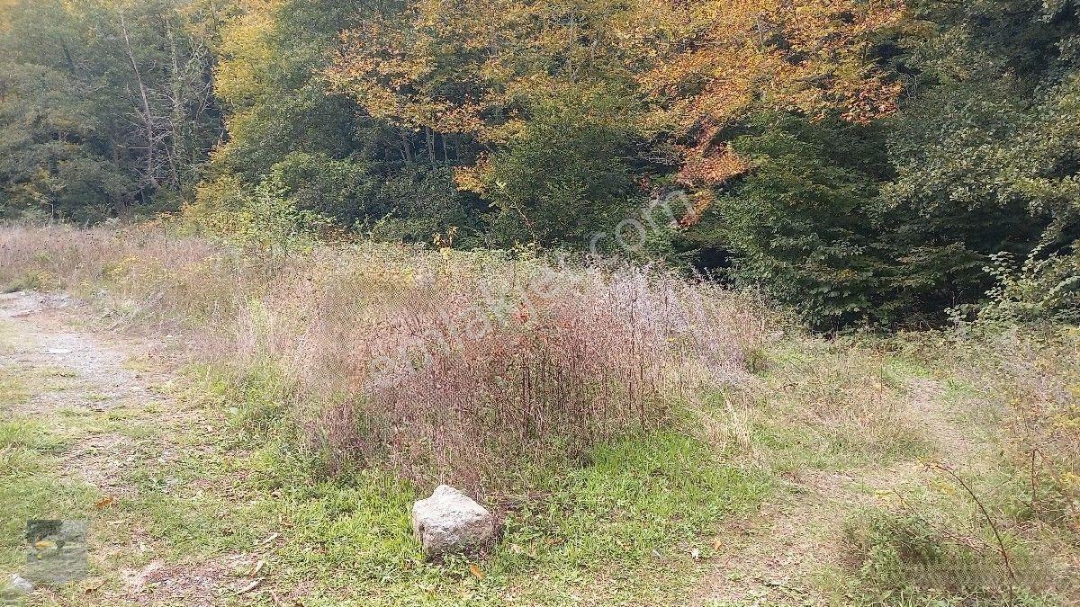 Dere Kenarı Bahçe Satılık... — fotoğraf 15
