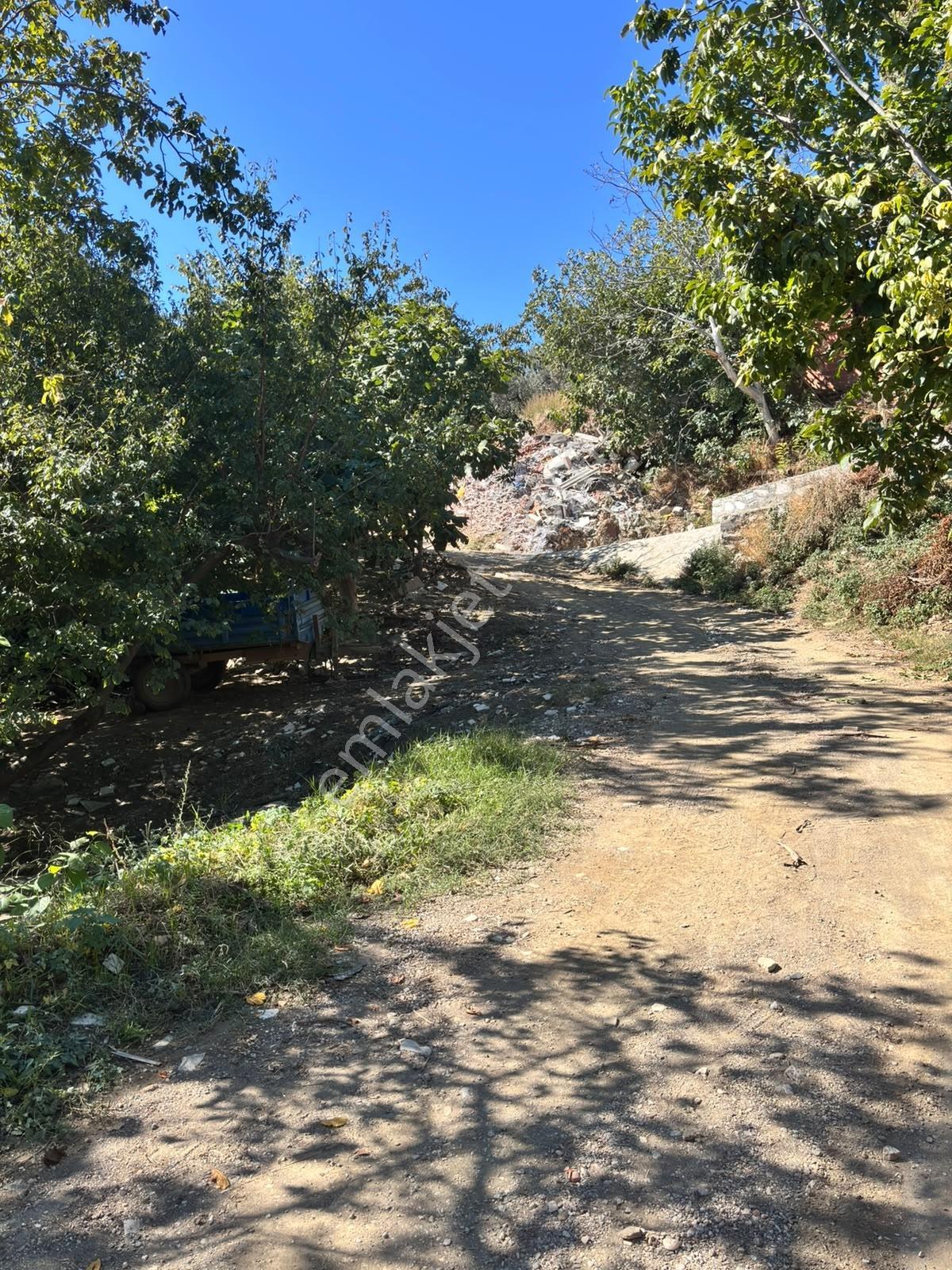 Pozitiften Oduncu Yolu Mevkinde Yola 100 Metre Cepheli Zeytinlik — fotoğraf 10