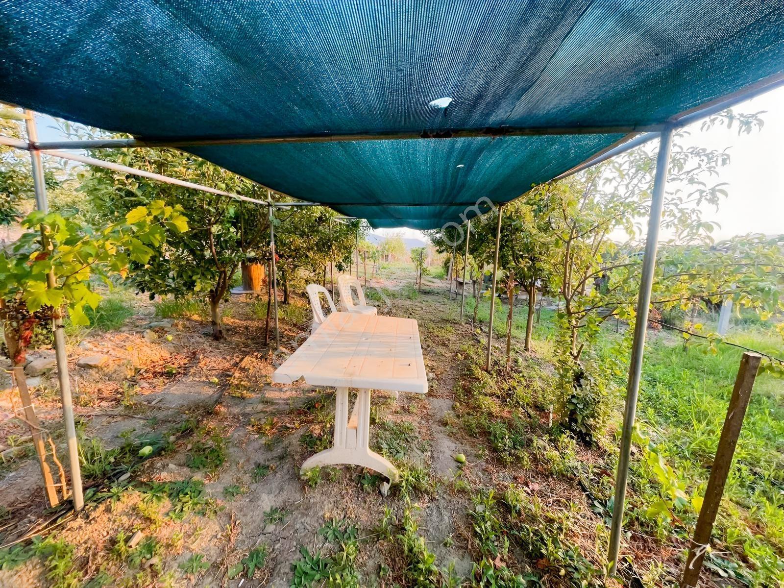 Gökçealan'da Hobi Bahçesi 3parsel Yani 3 Bahçe 1 Abhçe F — fotoğraf 14