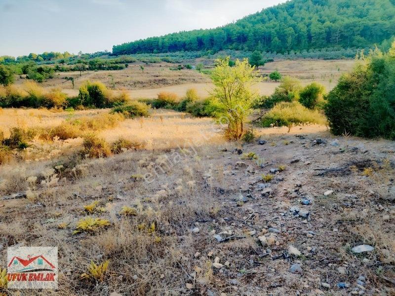 Uygulama İmar Planlı, Resmi Yollu 586 M² Satılık Tarla — fotoğraf 6