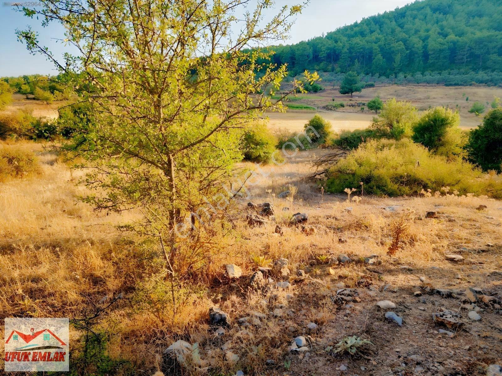 Uygulama İmar Planlı, Resmi Yollu 586 M² Satılık Tarla — fotoğraf 9