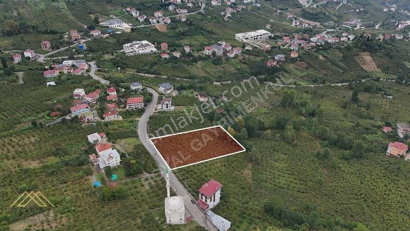 Royal'den Yeşilova'da Satılık Arsa — fotoğraf 2