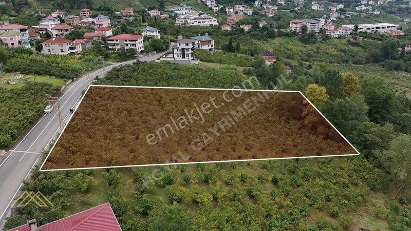 Royal'den Yeşilova'da Satılık Arsa — fotoğraf 4