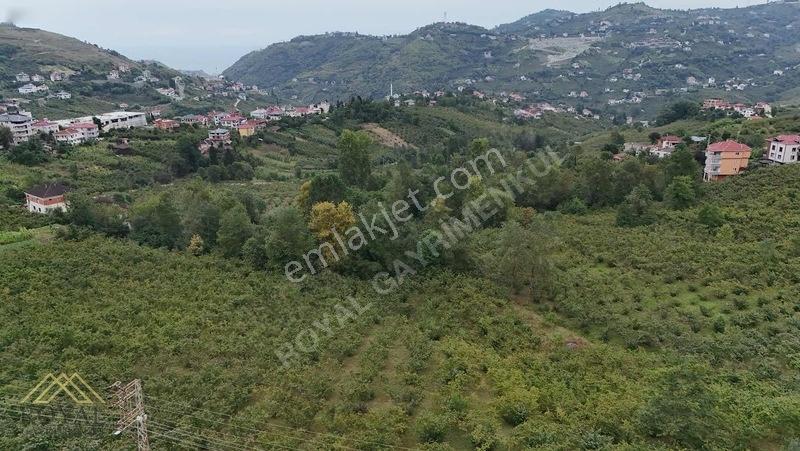 Royal'den Yeşilova'da Satılık Arsa — fotoğraf 7