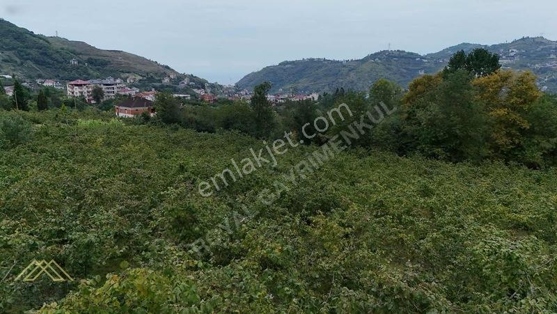 Royal'den Yeşilova'da Satılık Arsa — fotoğraf 8