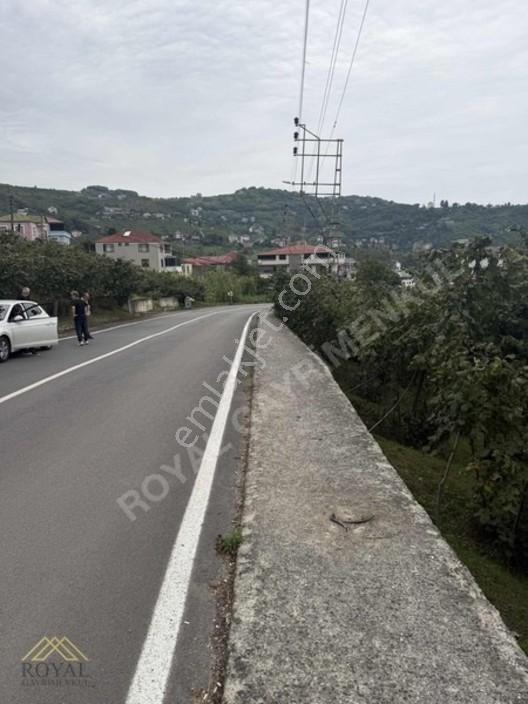 Royal'den Yeşilova'da Satılık Arsa — fotoğraf 10