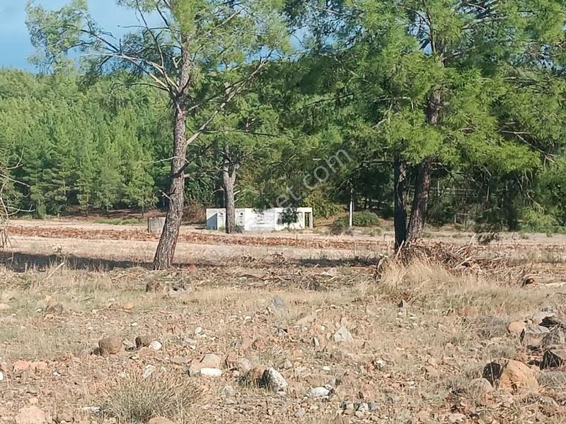 Seydikemer Çaltıözü Mah.Satılık İki Ayrı Parselli Arsa Acilllll