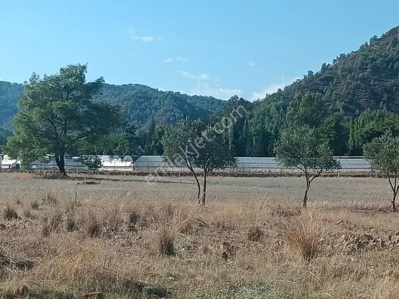 Seydikemer Çaltıözü Mah.satılık İki Ayrı Parselli Arsa Acilllll — fotoğraf 3