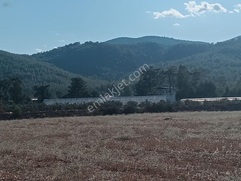 Seydikemer Çaltıözü Mah.satılık İki Ayrı Parselli Arsa Acilllll — fotoğraf 4