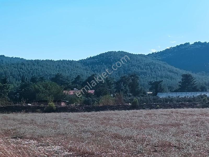 Seydikemer Çaltıözü Mah.satılık İki Ayrı Parselli Arsa Acilllll — fotoğraf 5