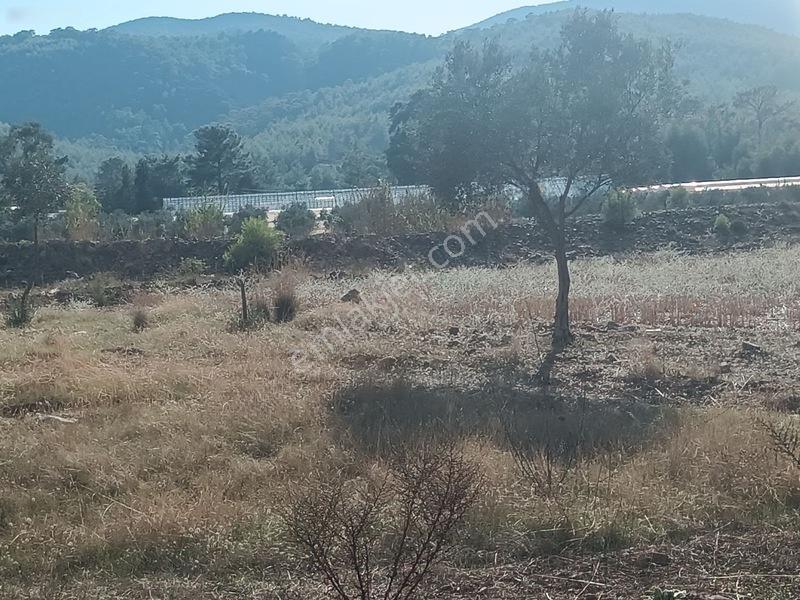 Seydikemer Çaltıözü Mah.satılık İki Ayrı Parselli Arsa Acilllll — fotoğraf 6
