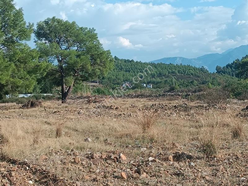 Seydikemer Çaltıözü Mah.satılık İki Ayrı Parselli Arsa Acilllll — fotoğraf 7