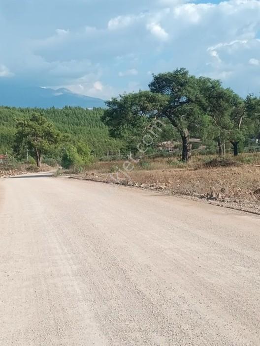 Seydikemer Çaltıözü Mah.satılık İki Ayrı Parselli Arsa Acilllll — fotoğraf 11