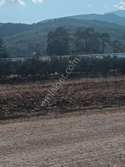 Seydikemer Çaltıözü Mah.satılık İki Ayrı Parselli Arsa Acilllll — fotoğraf 14
