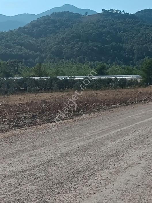 Seydikemer Çaltıözü Mah.satılık İki Ayrı Parselli Arsa Acilllll — fotoğraf 15