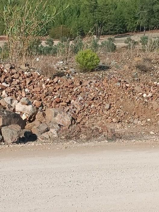 Seydikemer Çaltıözü Mah.satılık İki Ayrı Parselli Arsa Acilllll — fotoğraf 18