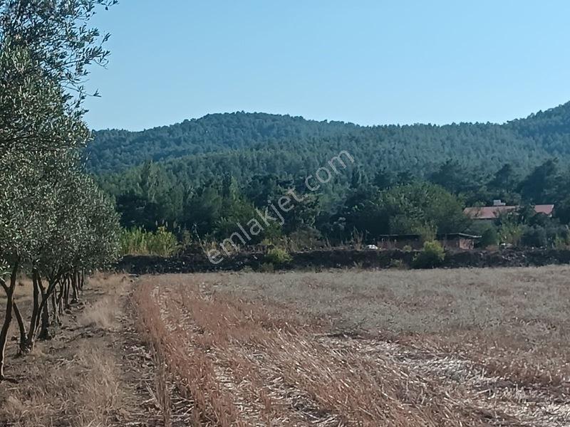 Seydikemer Çaltıözü Mah.satılık İki Ayrı Parselli Arsa Acilllll — fotoğraf 32