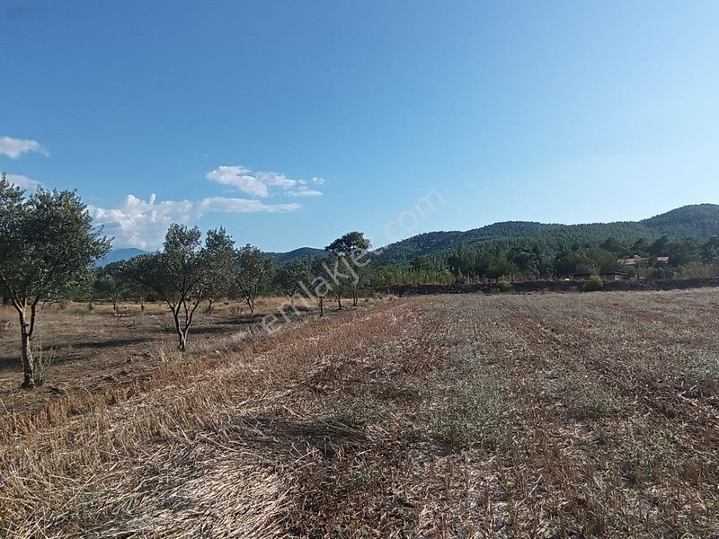 Seydikemer Çaltıözü Mah.satılık İki Ayrı Parselli Arsa Acilllll — fotoğraf 34