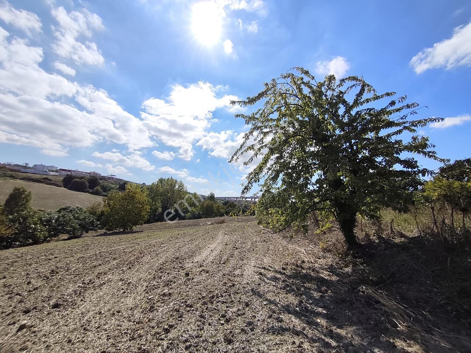 Konaklıda Tek Tapu Yatırımlık 2600 M2 Satılık Tarla — fotoğraf 11