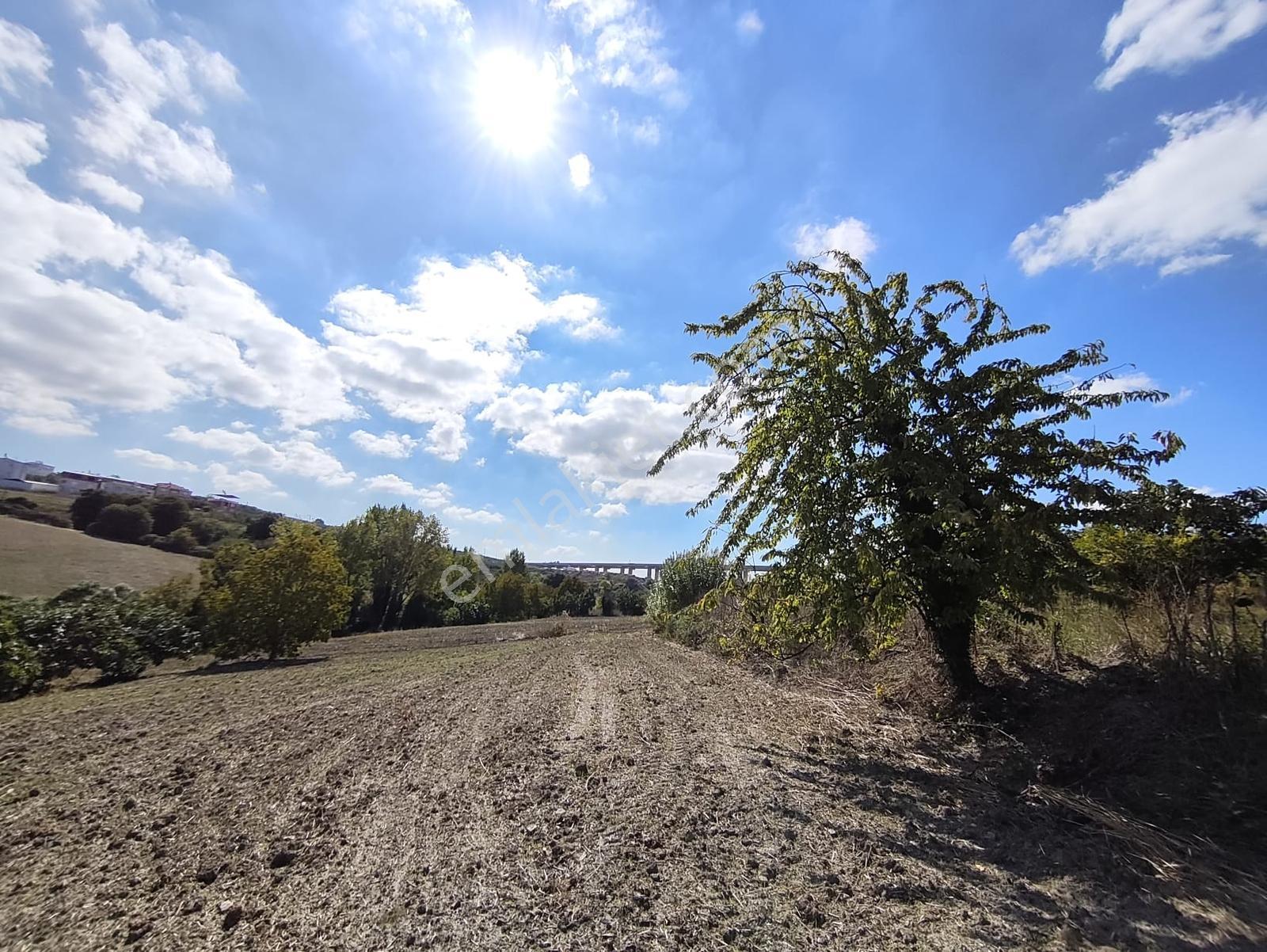 Konaklıda Tek Tapu Yatırımlık 2600 M2 Satılık Tarla — fotoğraf 14