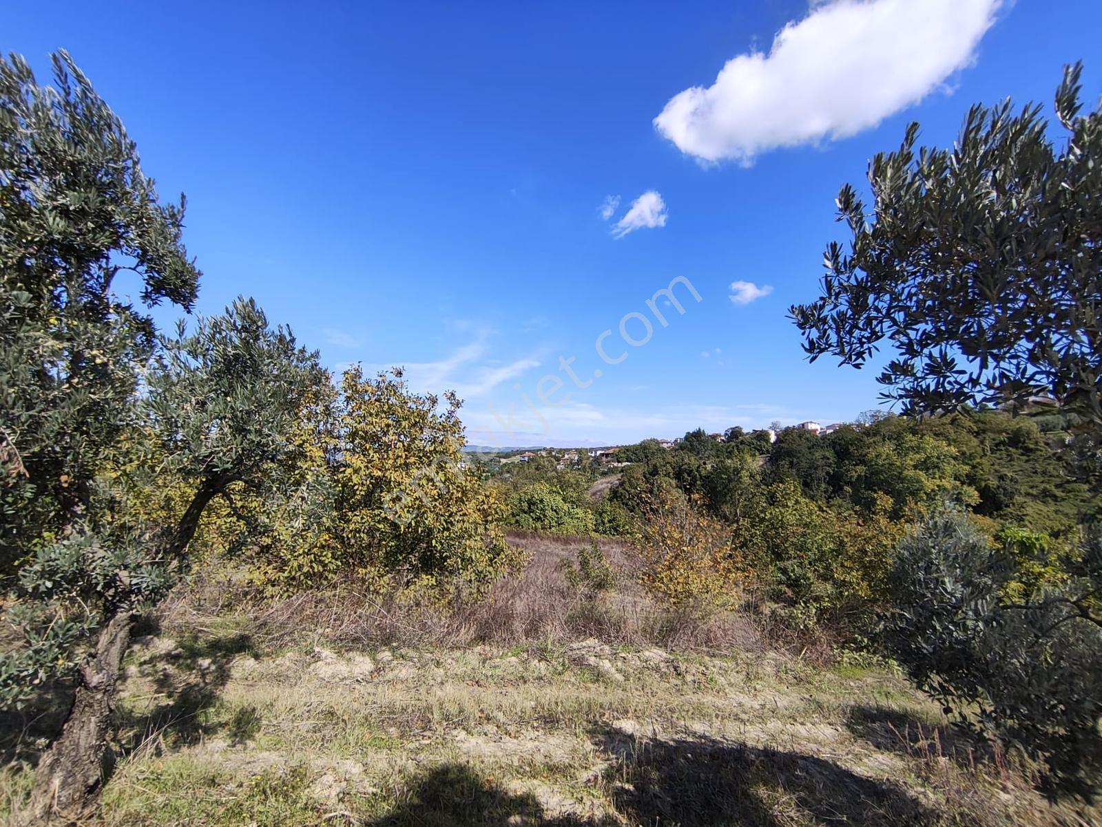 Konaklıda Tek Tapu Yatırımlık 2600 M2 Satılık Tarla — fotoğraf 15