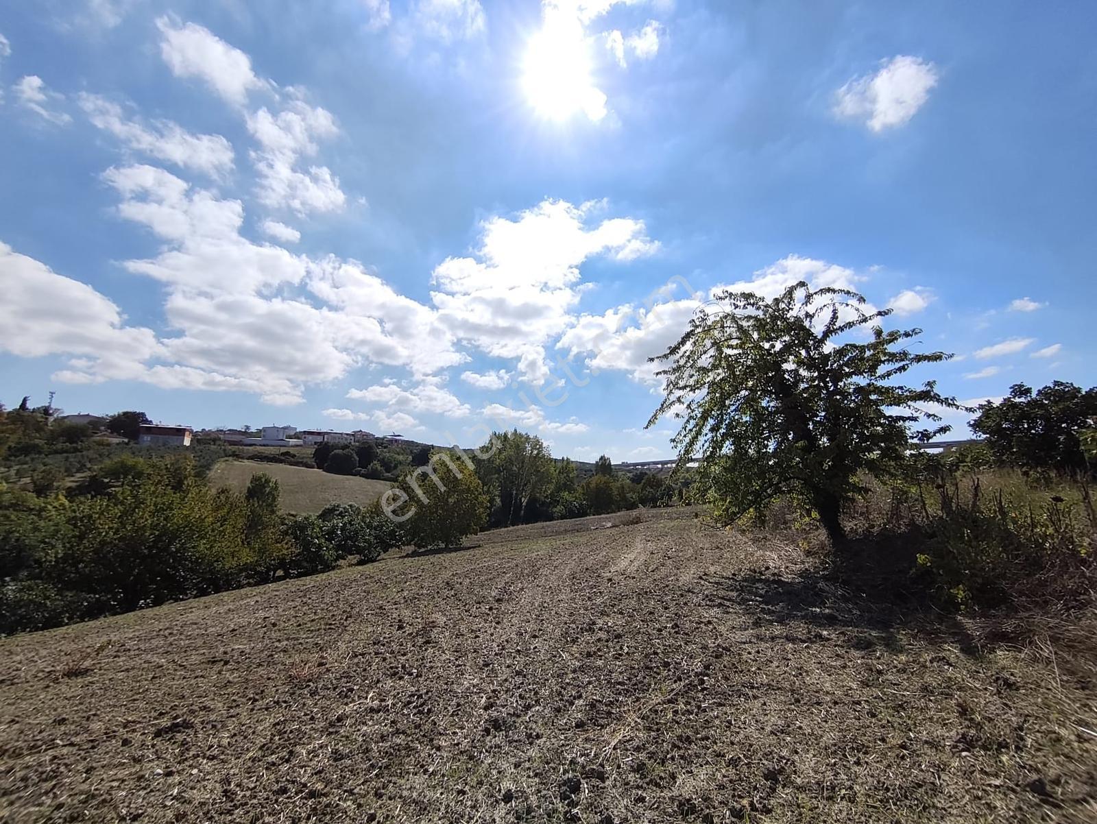 Konaklıda Tek Tapu Yatırımlık 2600 M2 Satılık Tarla — fotoğraf 16