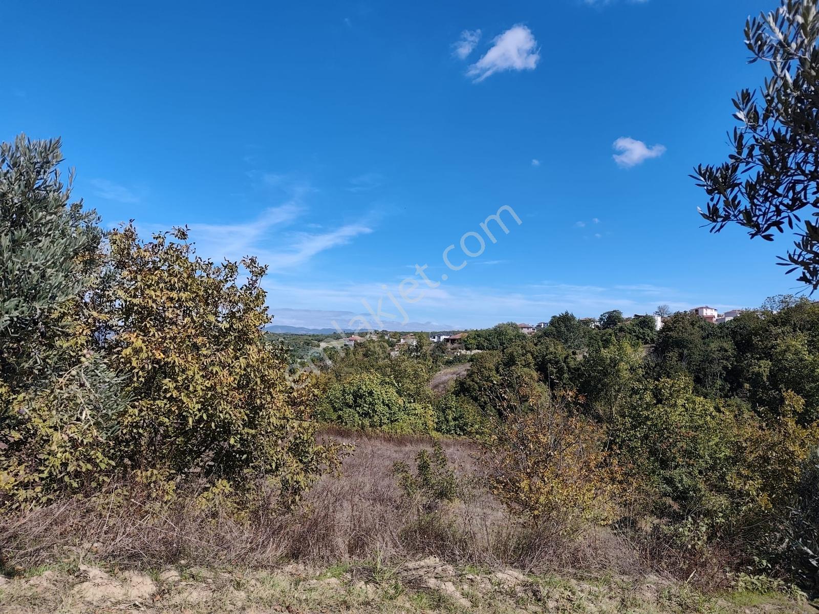 Konaklıda Tek Tapu Yatırımlık 2600 M2 Satılık Tarla — fotoğraf 18