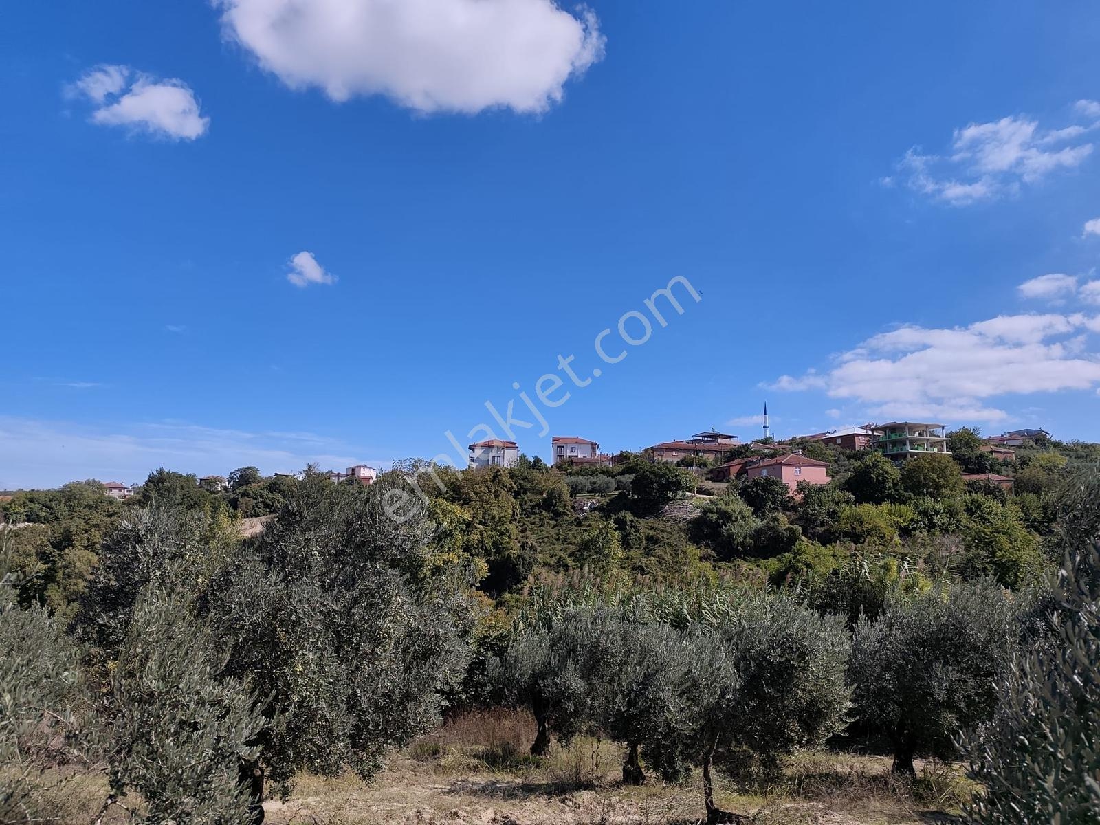 Konaklıda Tek Tapu Yatırımlık 2600 M2 Satılık Tarla — fotoğraf 19