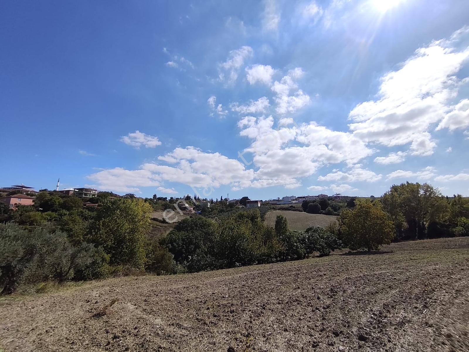 Konaklıda Tek Tapu Yatırımlık 2600 M2 Satılık Tarla — fotoğraf 22
