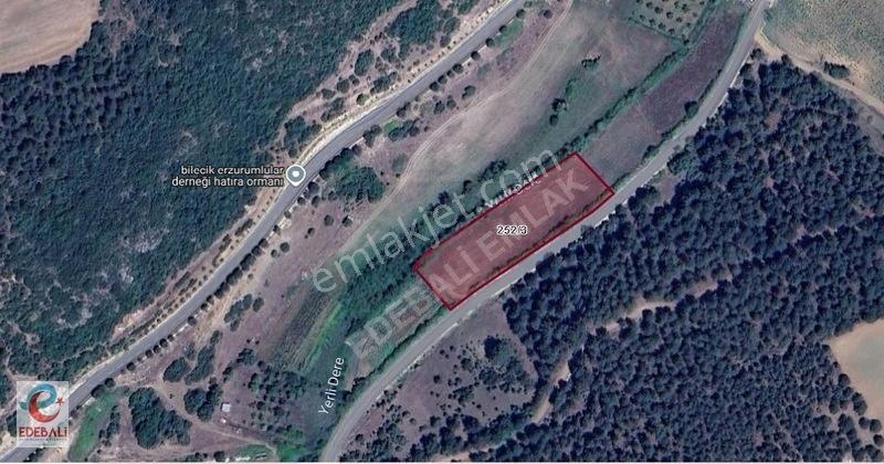 Pelitözü Gölpark Yanı 3.484 M2 Asfalt Cephe Fırsat Arazi — fotoğraf 4