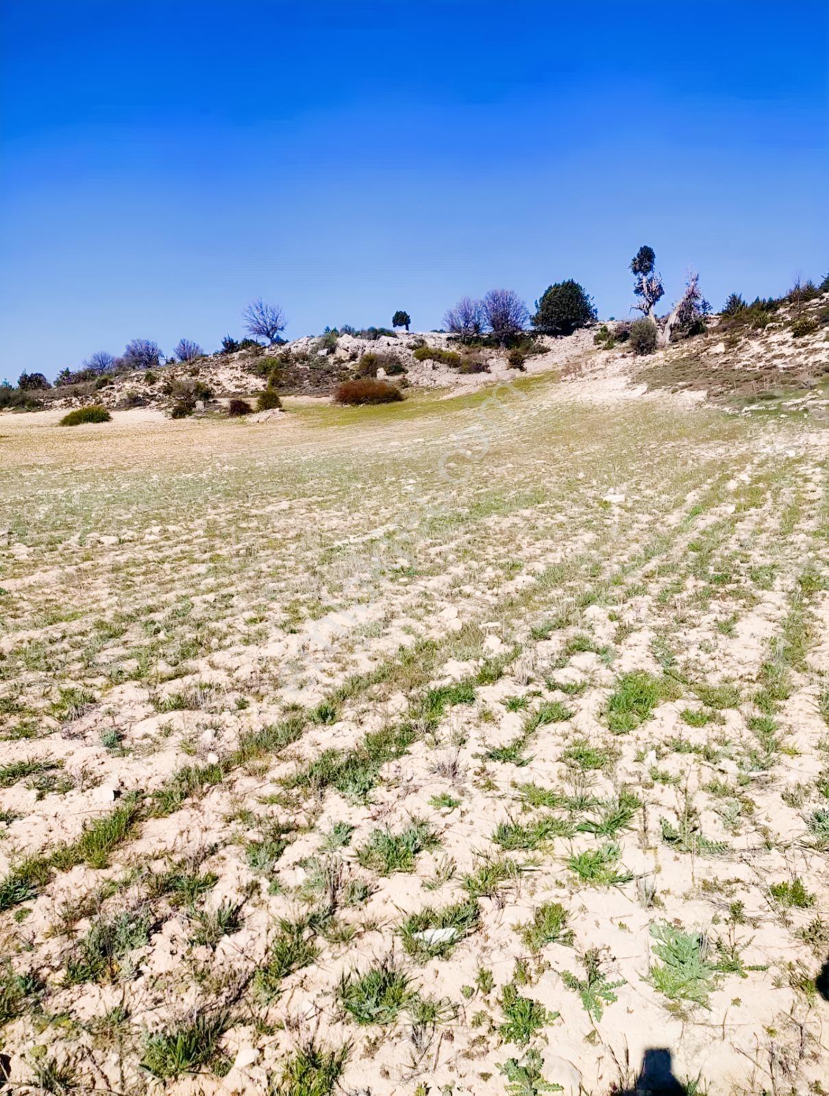 Silifke Kıca'Da 17.473 M² Müstakil Tapulu Tarla
