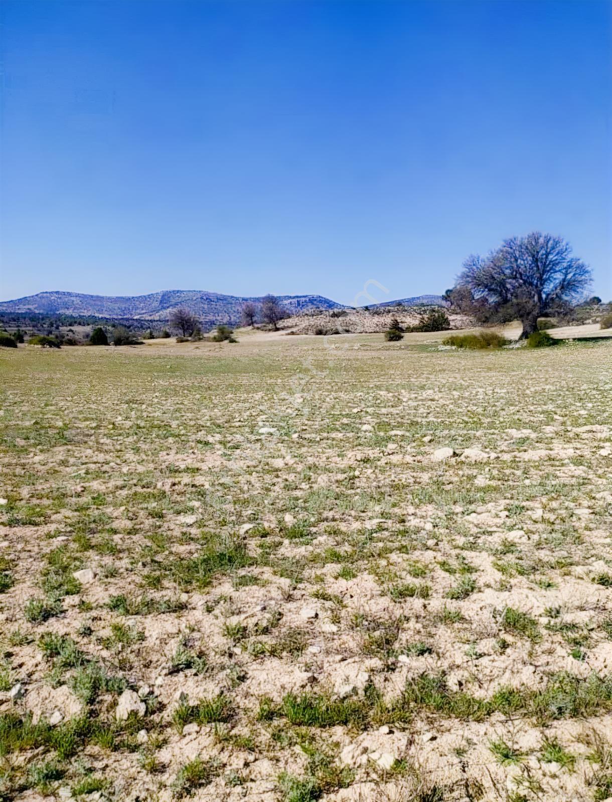 Silifke Kıca'da 17.473 M² Müstakil Tapulu Tarla — fotoğraf 2