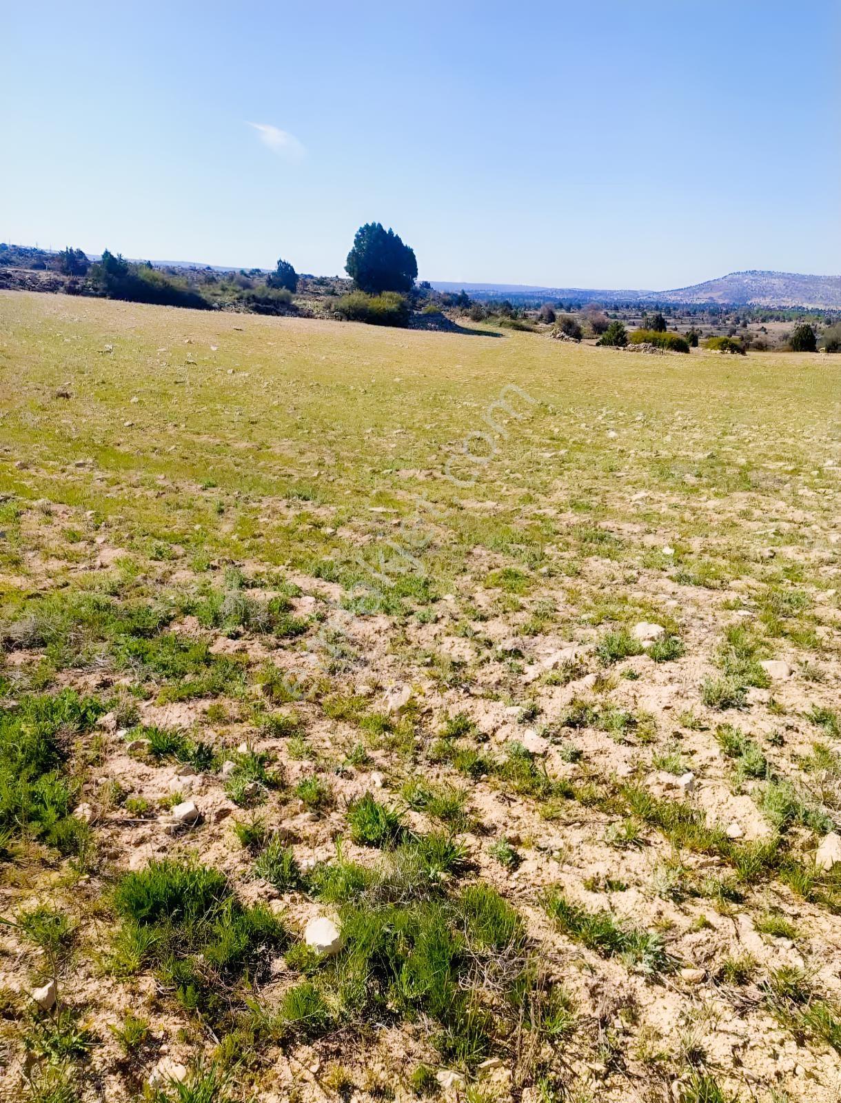 Silifke Kıca'da 17.473 M² Müstakil Tapulu Tarla — fotoğraf 3
