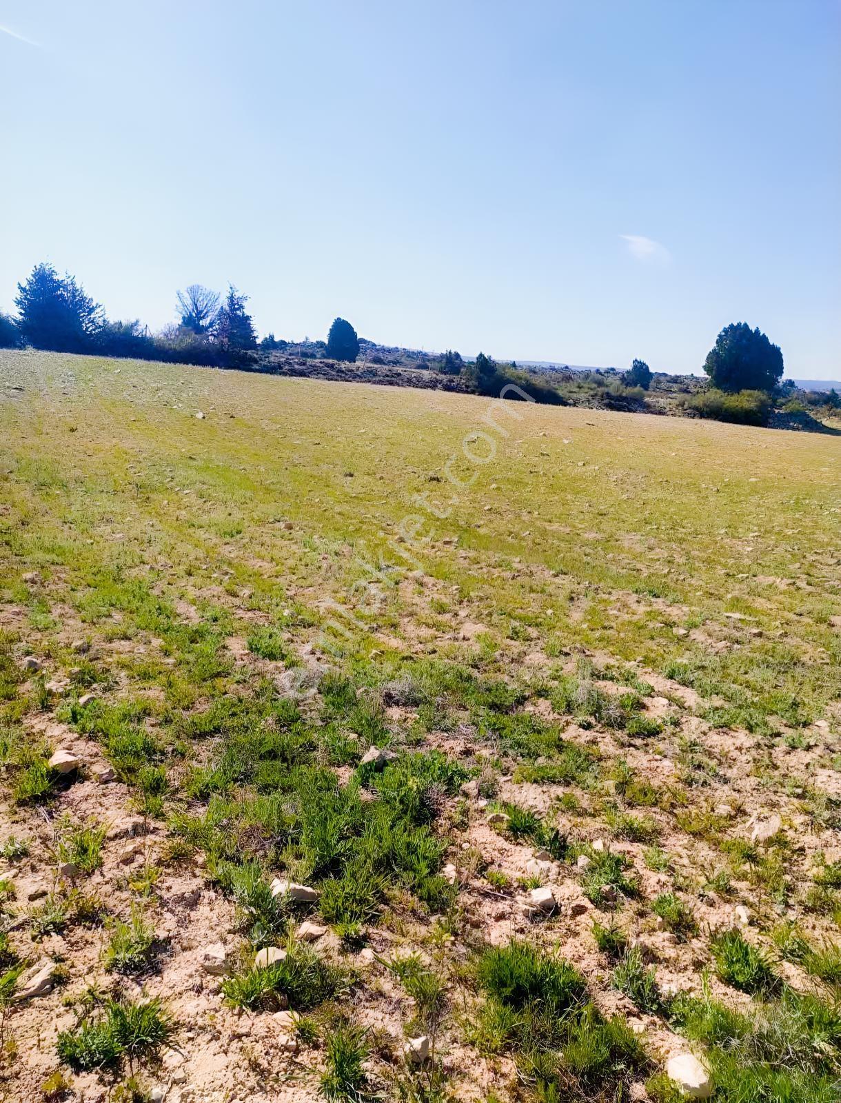 Silifke Kıca'da 17.473 M² Müstakil Tapulu Tarla — fotoğraf 4