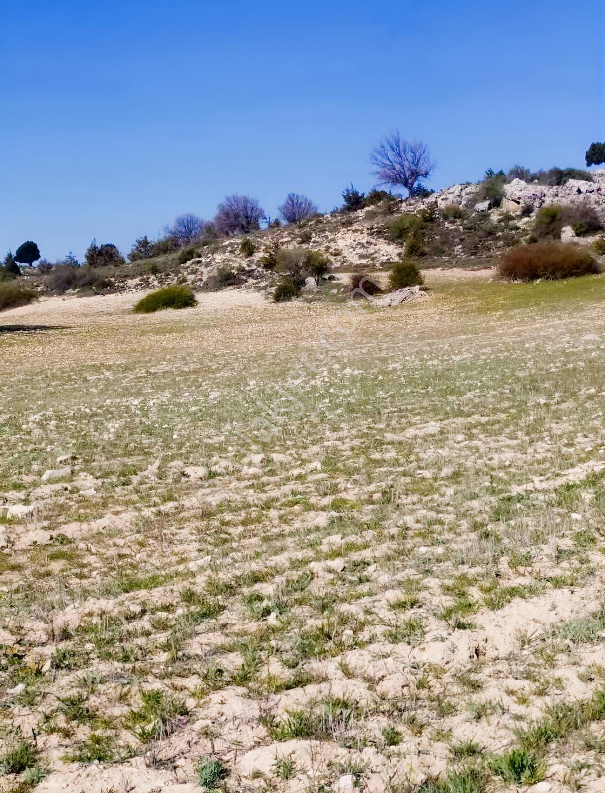 Silifke Kıca'da 17.473 M² Müstakil Tapulu Tarla — fotoğraf 5