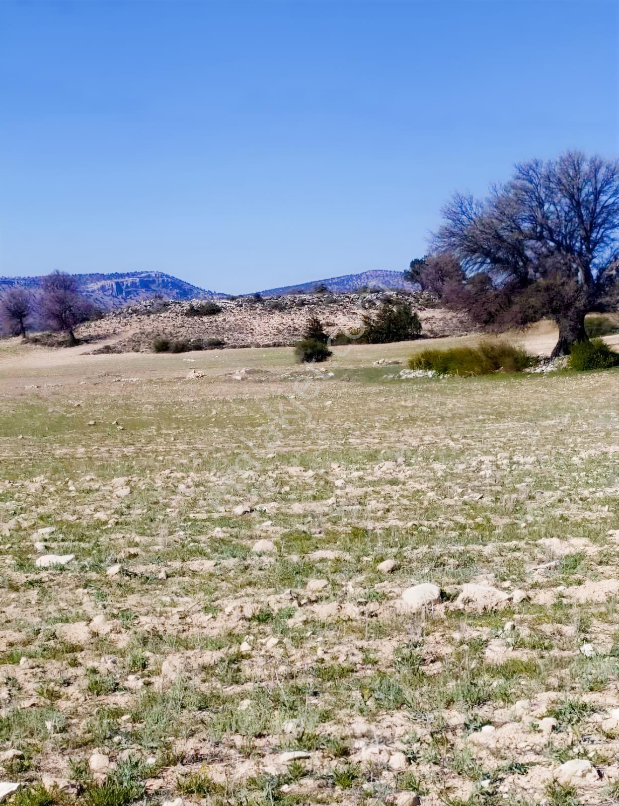Silifke Kıca'da 17.473 M² Müstakil Tapulu Tarla — fotoğraf 6