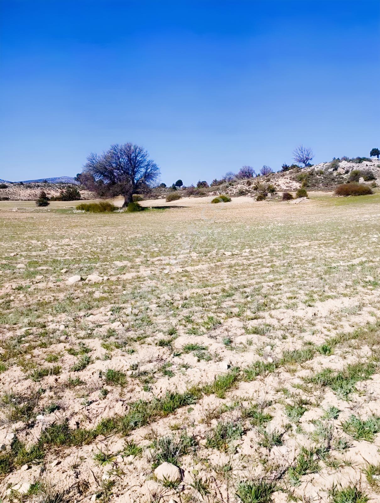 Silifke Kıca'da 17.473 M² Müstakil Tapulu Tarla — fotoğraf 8