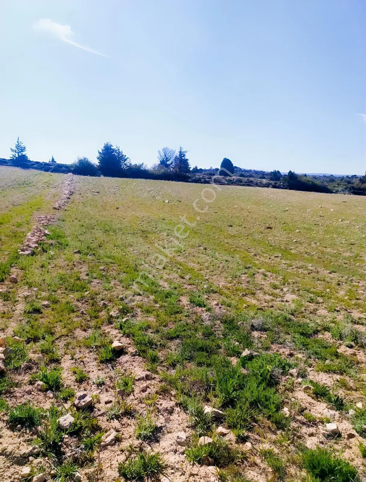 Silifke Kıca'da 17.473 M² Müstakil Tapulu Tarla — fotoğraf 9